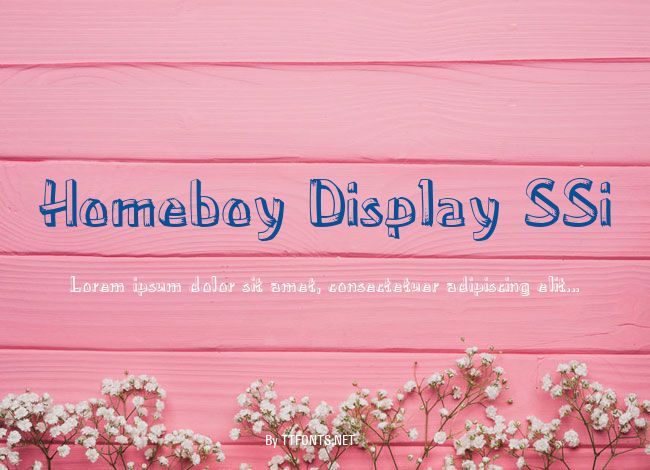 Homeboy Display SSi example